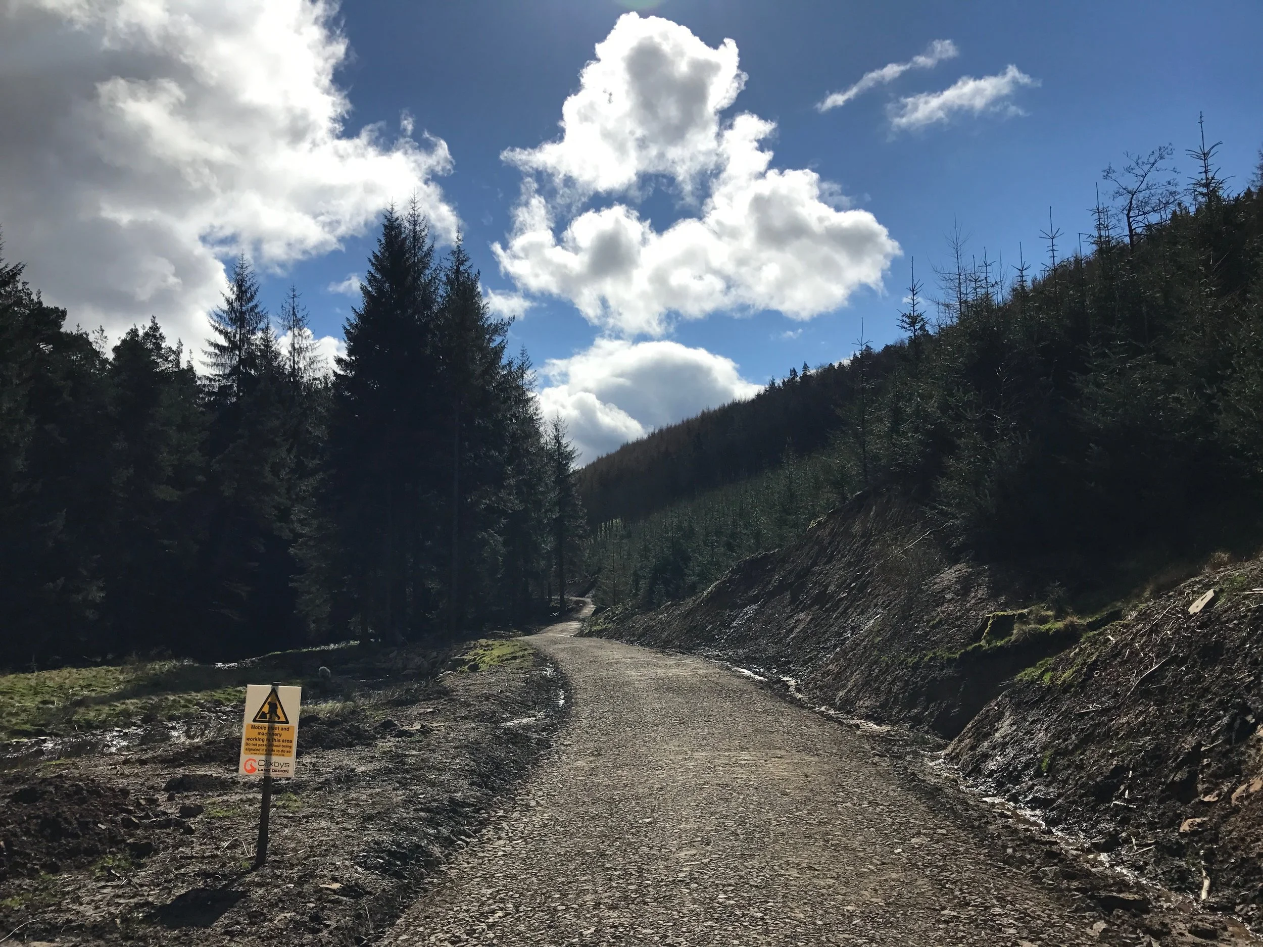 West End Forest Road