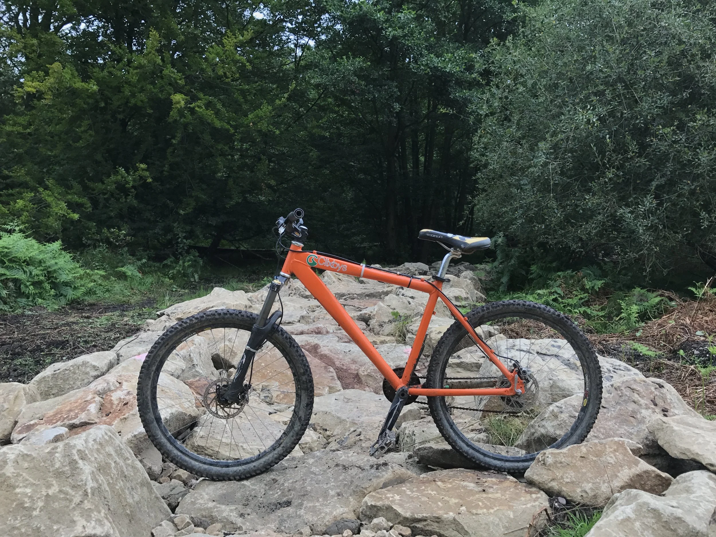 Stegosaurus Trail Section