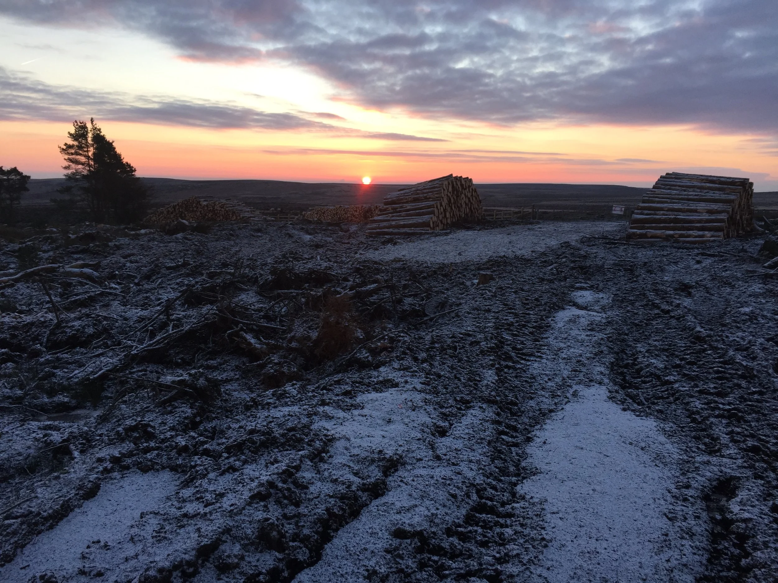 Forestry Ground Preparation — Clixbys Land Design