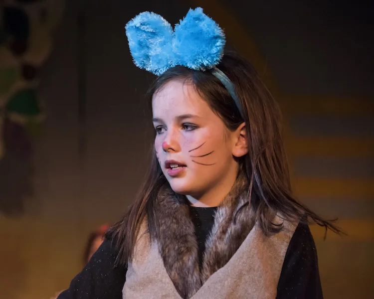 Alicia in The Land of Enchantment