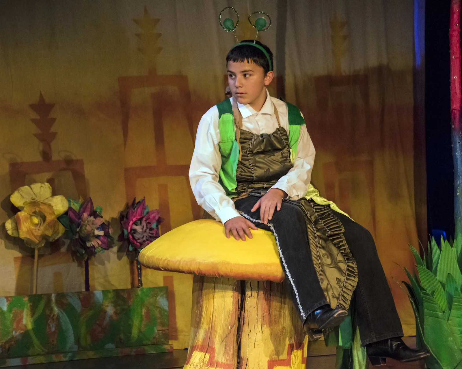 Alicia in The Land of Enchantment