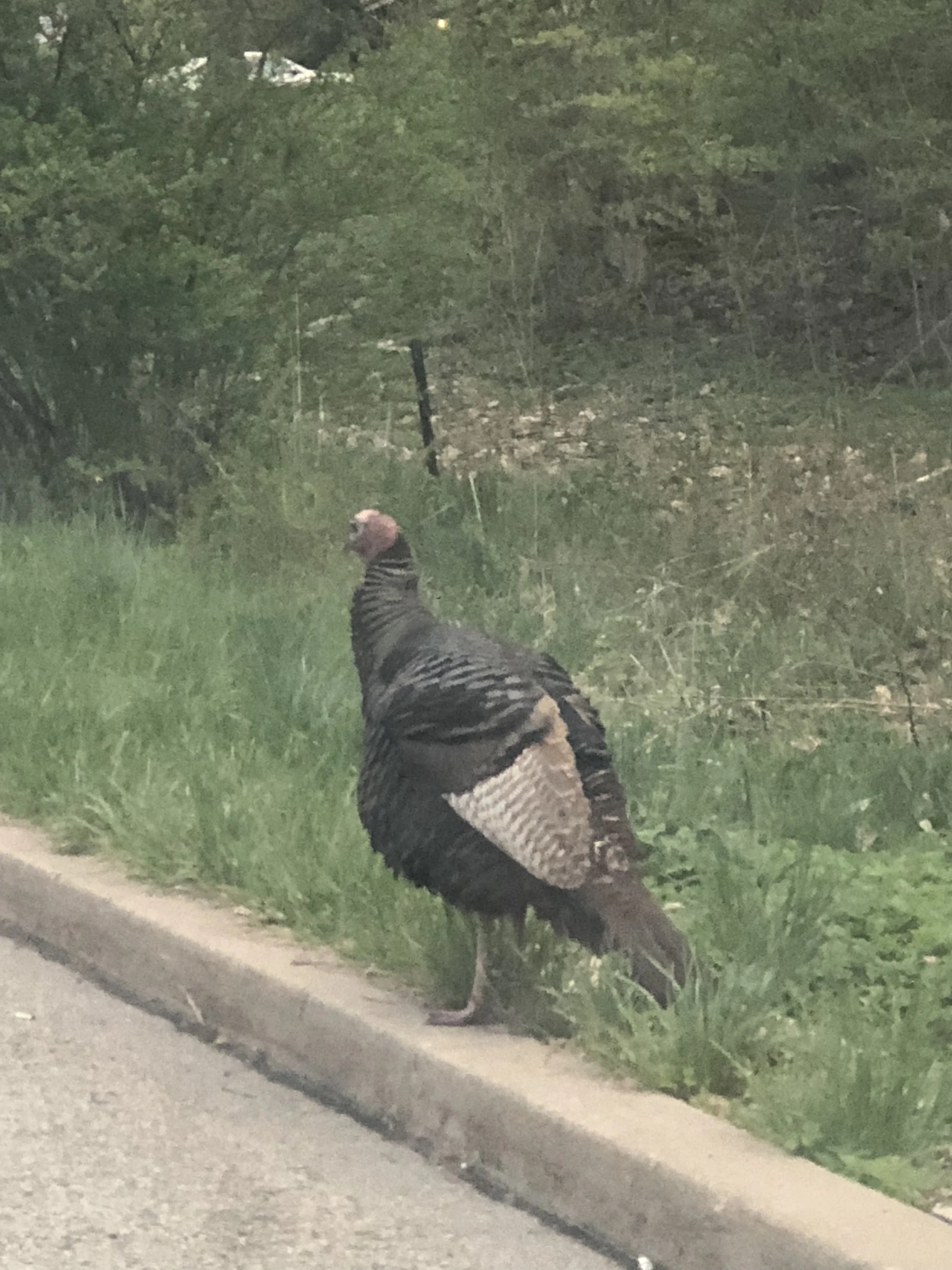 Sean McGowan's Hub of Creativity - Squarespace