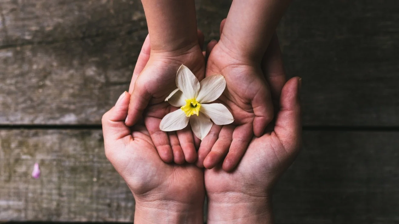 Pray the Rosary and Make A Prayer Request