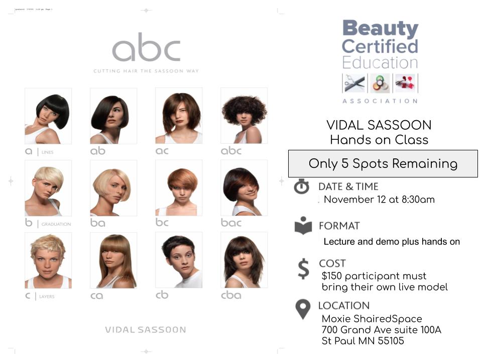 Vidal Sassoon hands on