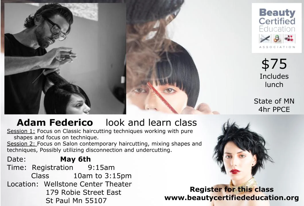 Adam Federico Look and Learn