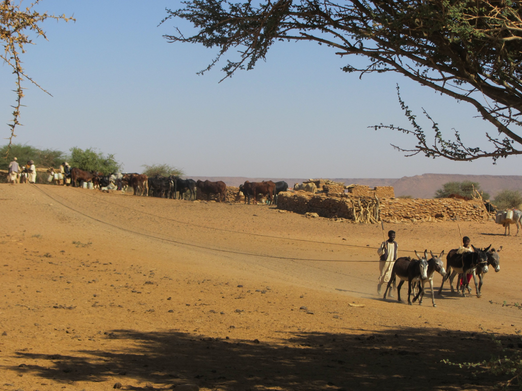 During the dry season, wells like this are the only source of water for many local populations.