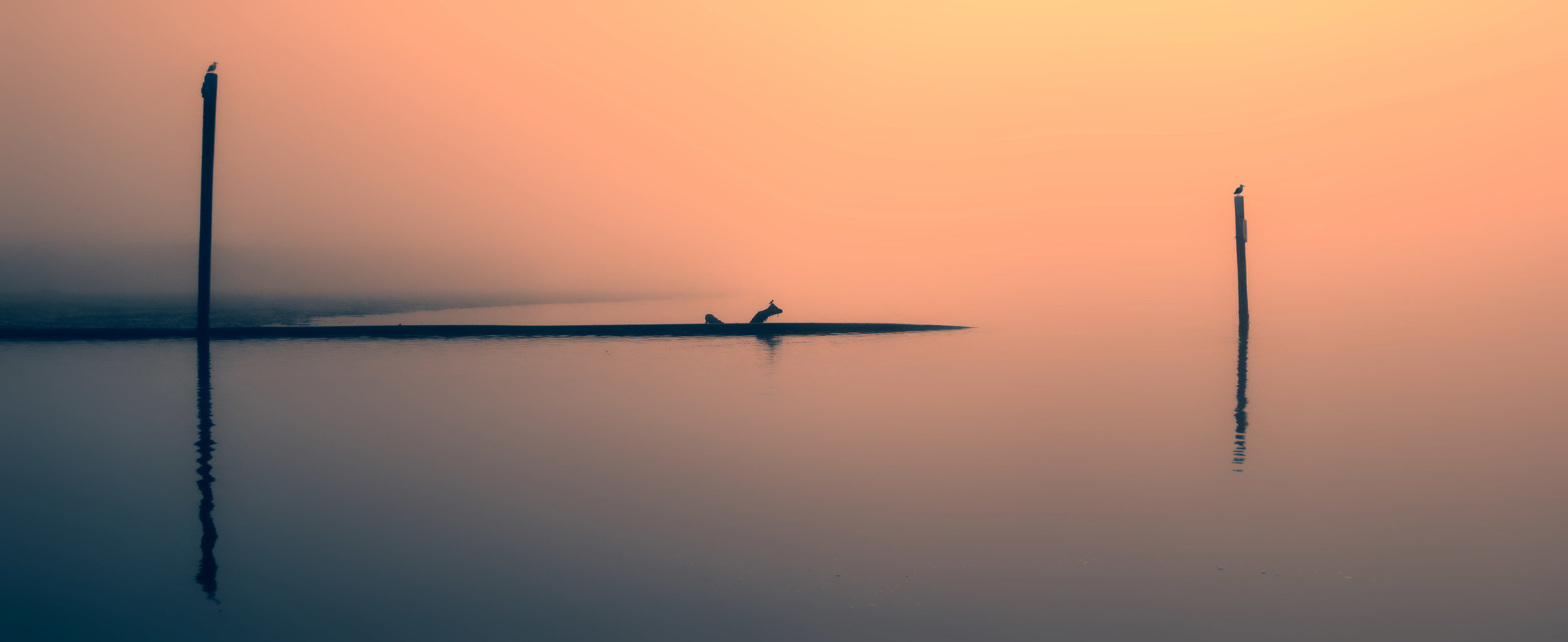  This is somewhat of a minimalist shot. &nbsp;I was struck by both its simplicity and calmness as well as the interesting way the morning fog blended the water and sky into a seamless background. 
