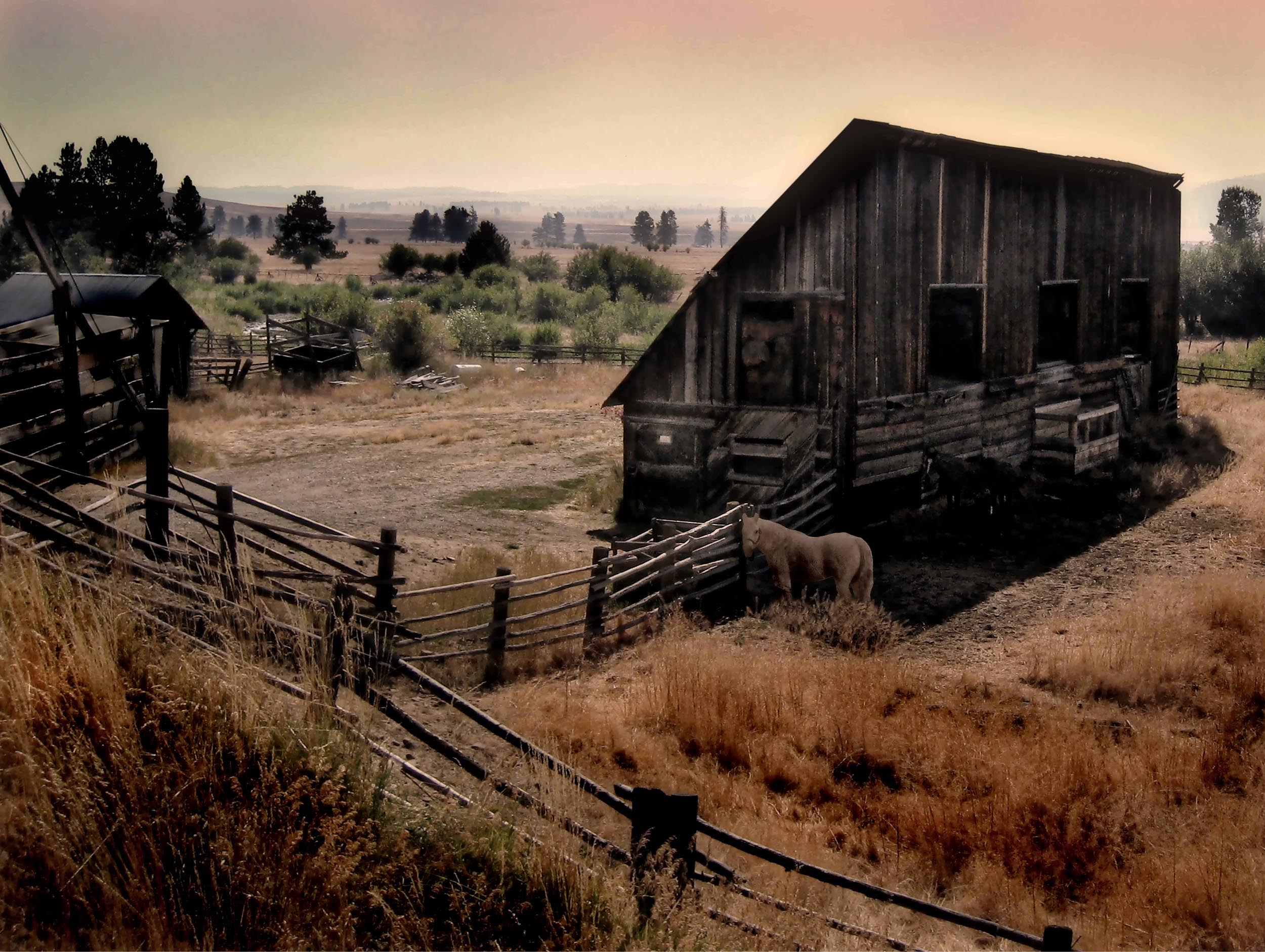The Old Barn.jpg