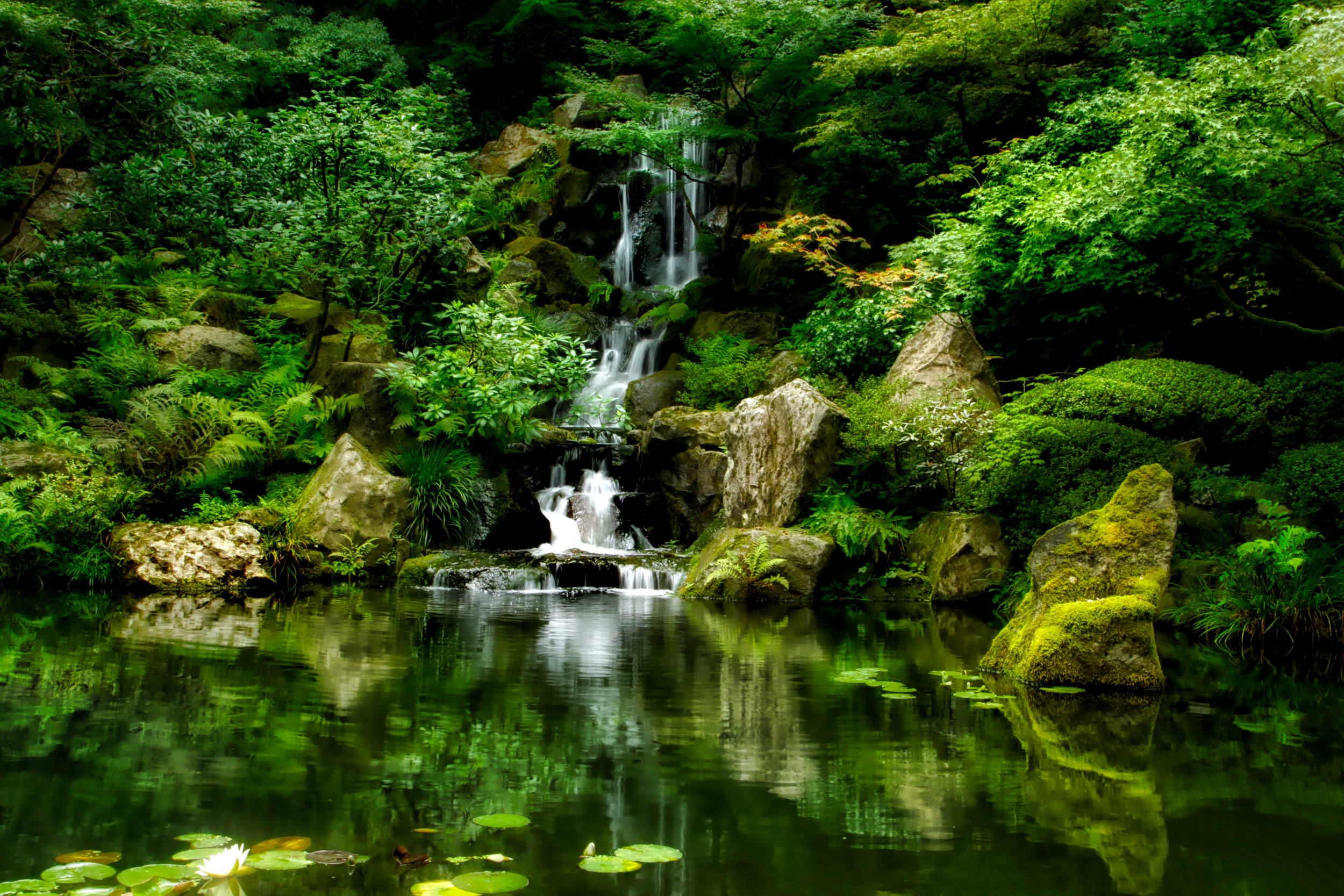 Japanese Gardens.jpg