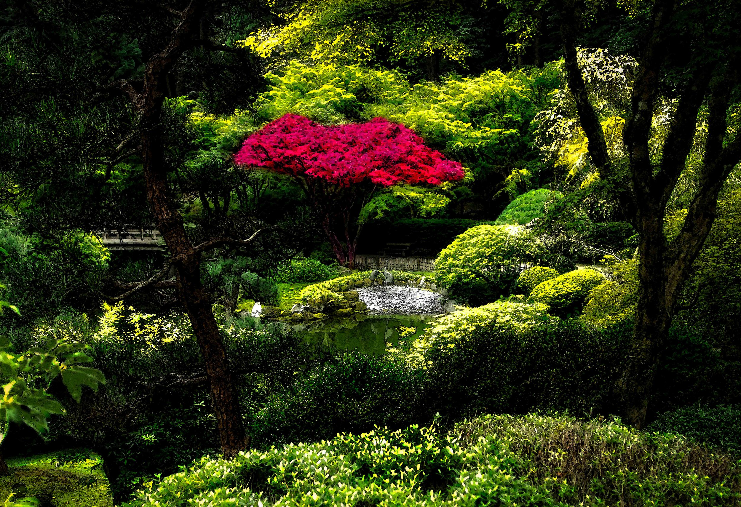 Japanese Gardens Red Tree.jpg