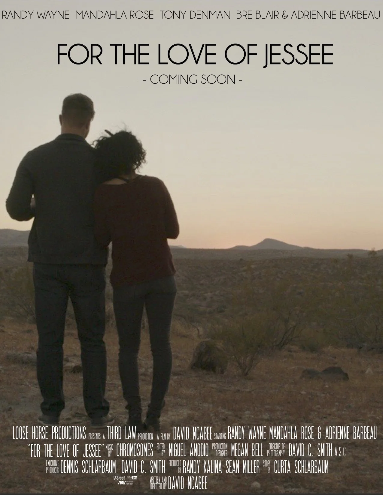 third law for the love of jessee poster.jpg