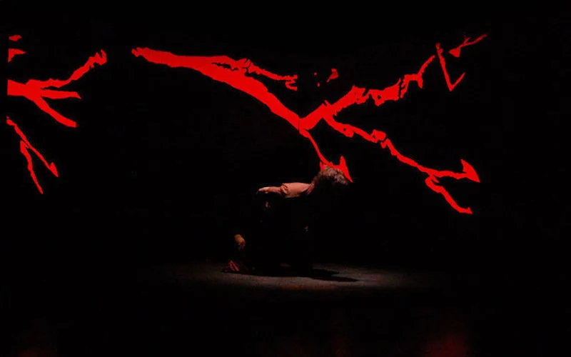 12 the_language_of_trees thumb.jpg