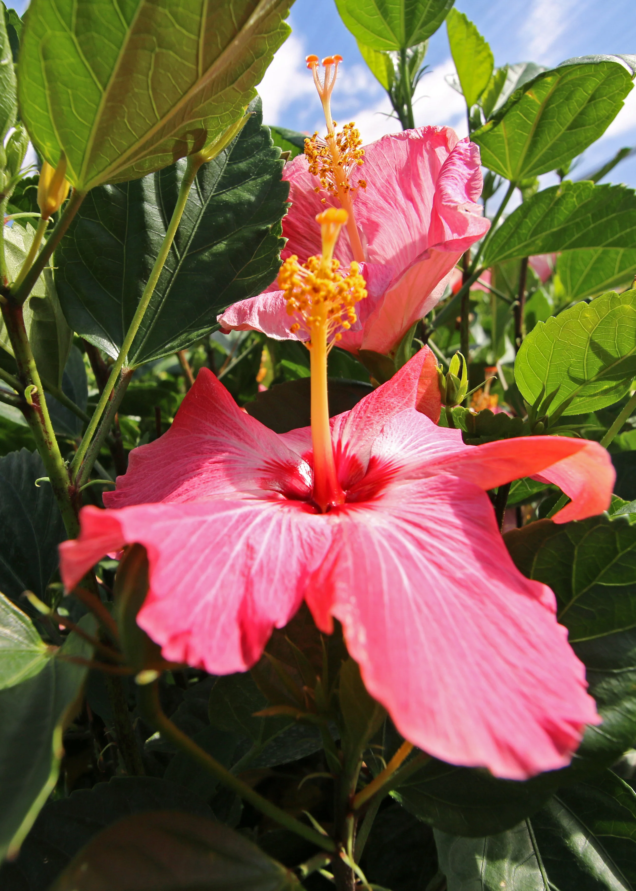 IMG_9590.jpg