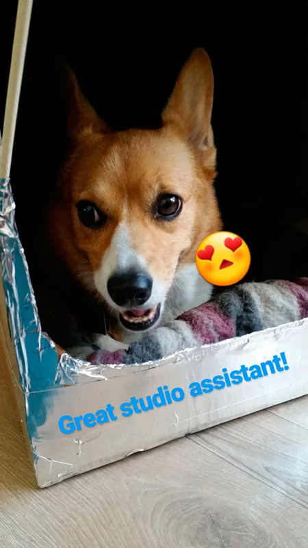 And don't forget great snaps of my Studio Assistant!