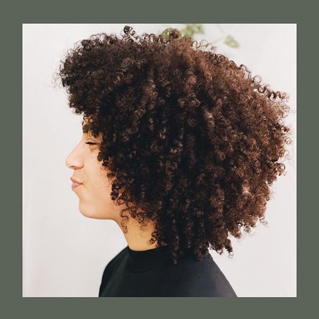 Curly Cut by @hairbysweetv 🐢 #Hairbrained #suitevbrooklyn #brooklynsalon #crownheights #curlyhair #kevinMurphy
