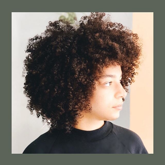 Curly Cut by @hairbysweetv 🐢 #Hairbrained #suitevbrooklyn #brooklynsalon #crownheights #curlyhair #kevinMurphy