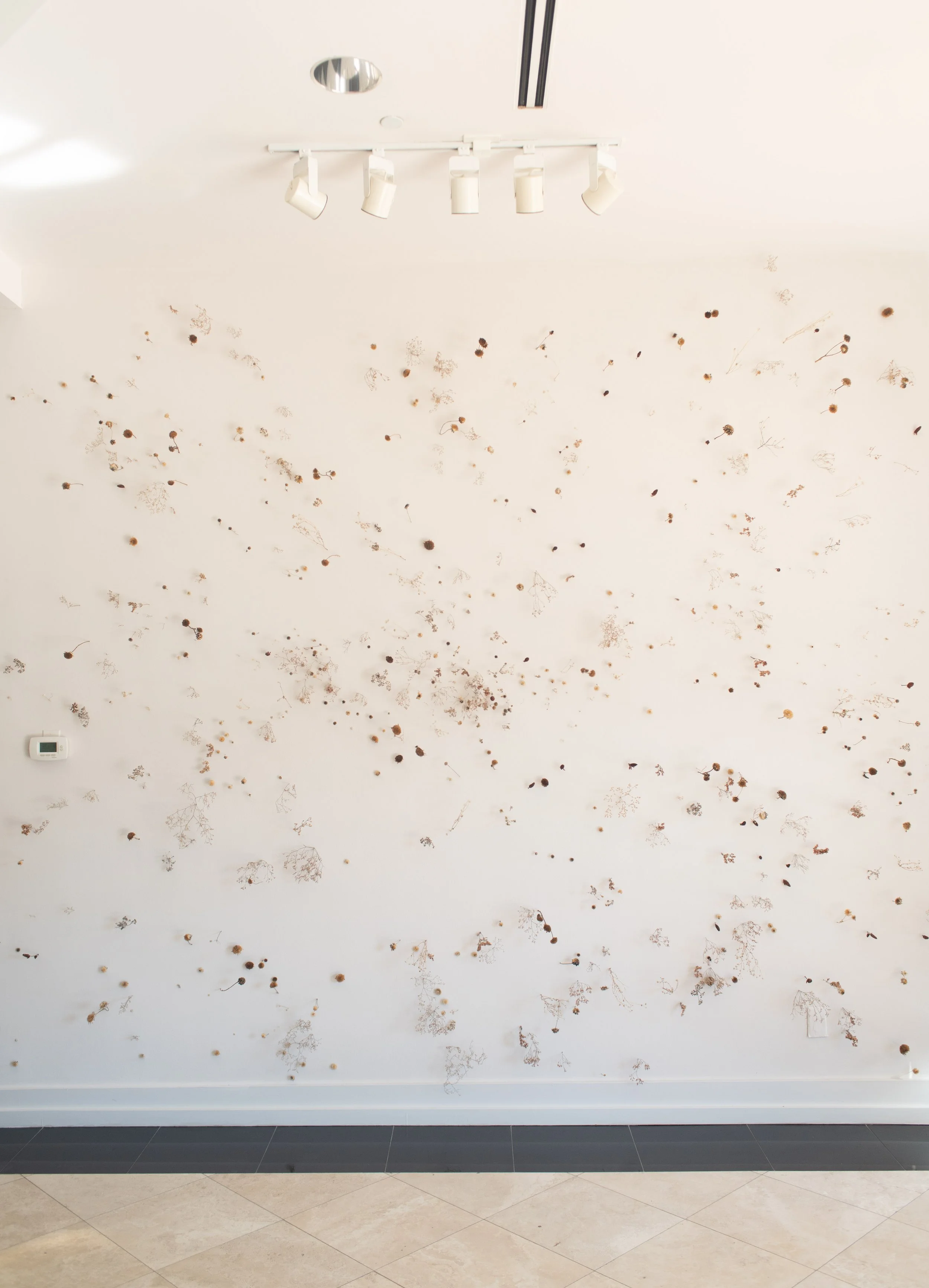 The Miracle of Oneness