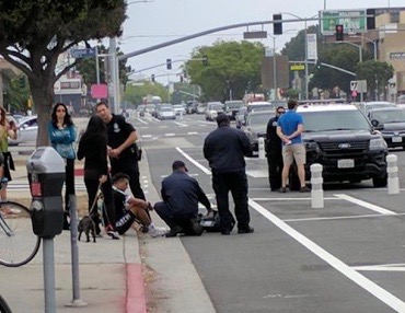 Another cyclist down in the so-called "safer" bike lane on Venice Blvd.