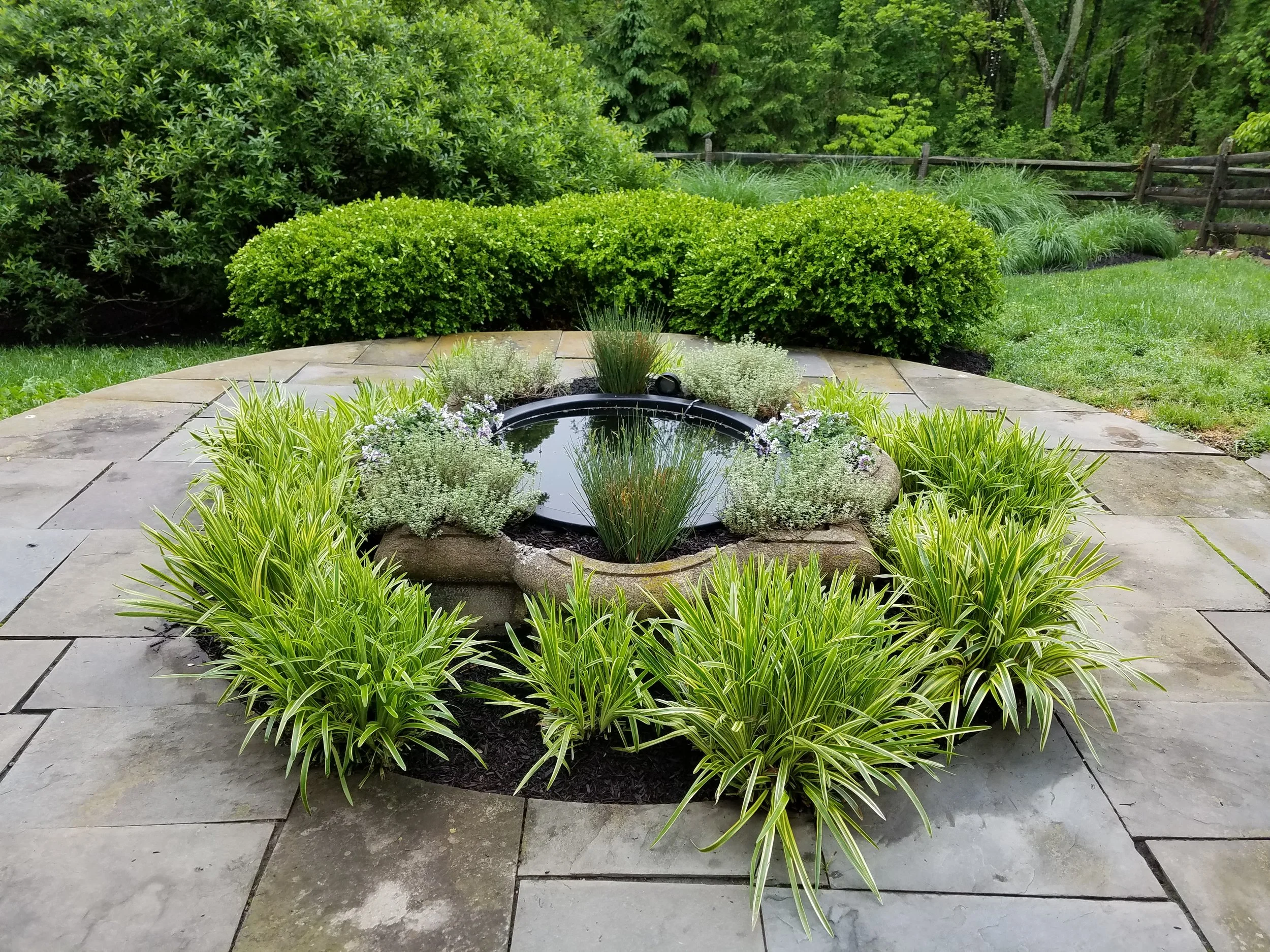 20170525_153121.jpg