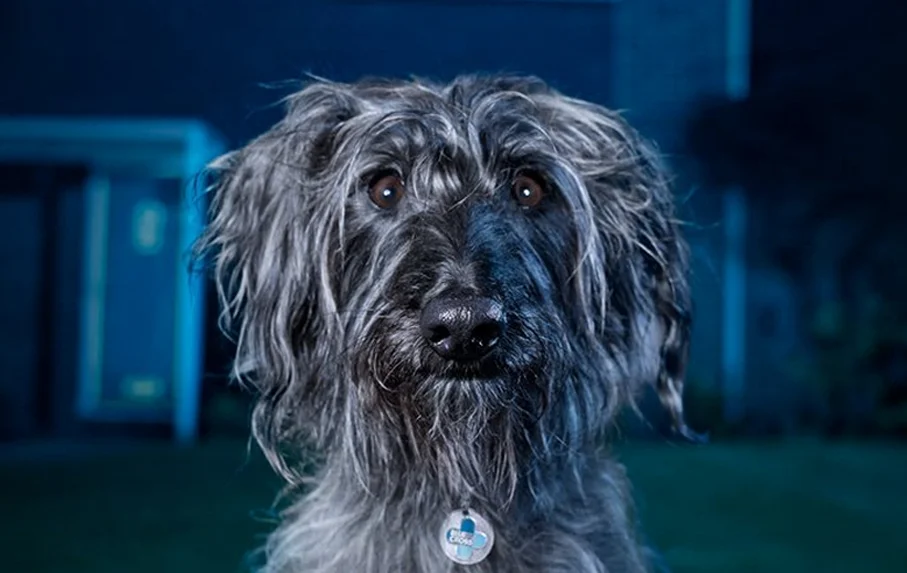 blue-cross-baxter-comercial.jpg