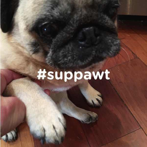 BX SUPPORT 2.gif