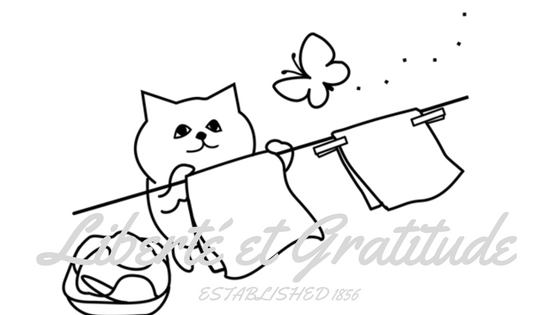 Suityourself-10.png