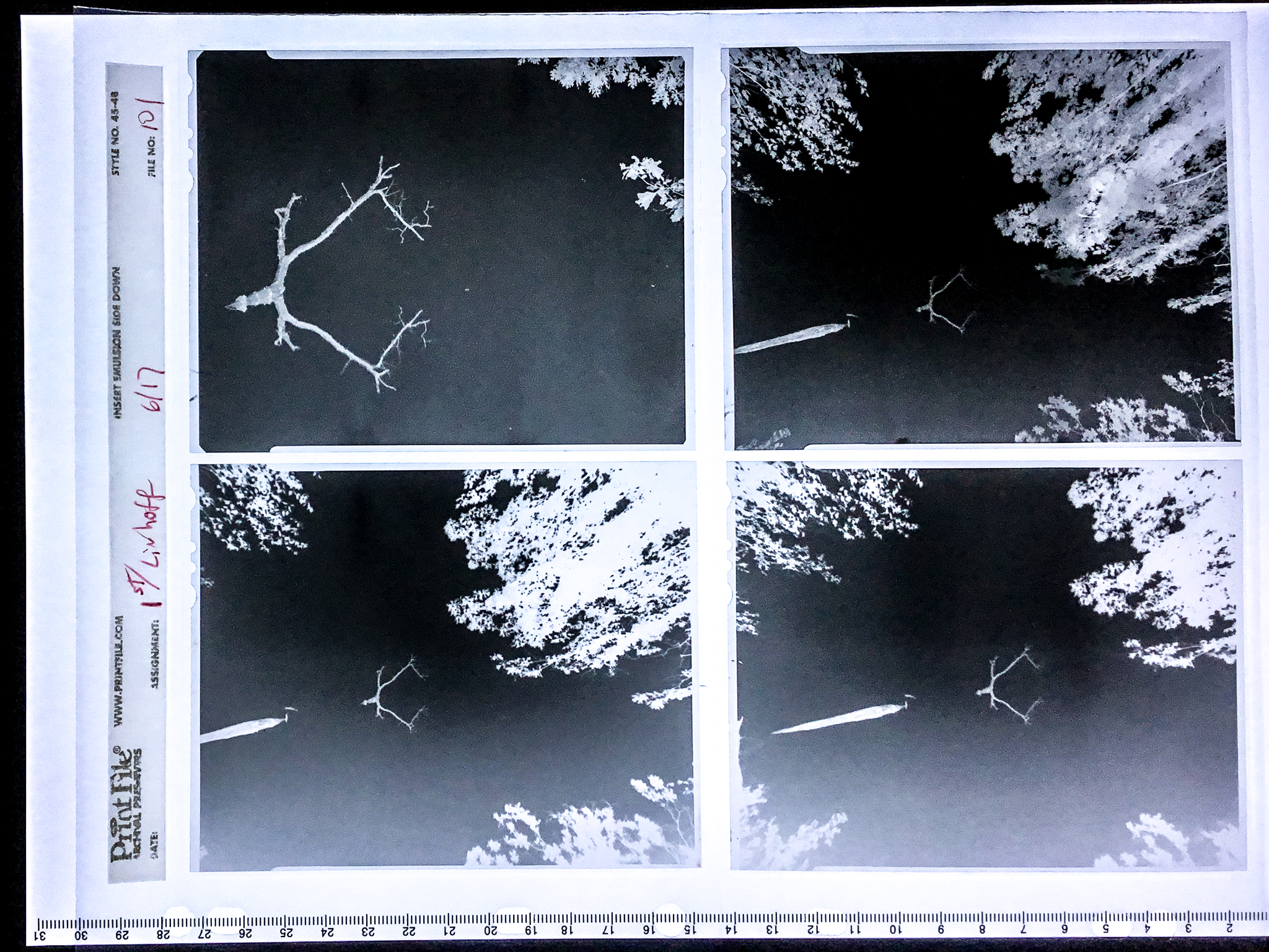 "Negative Contact Prints" will occasionally be posted along with a selected image shot on film.