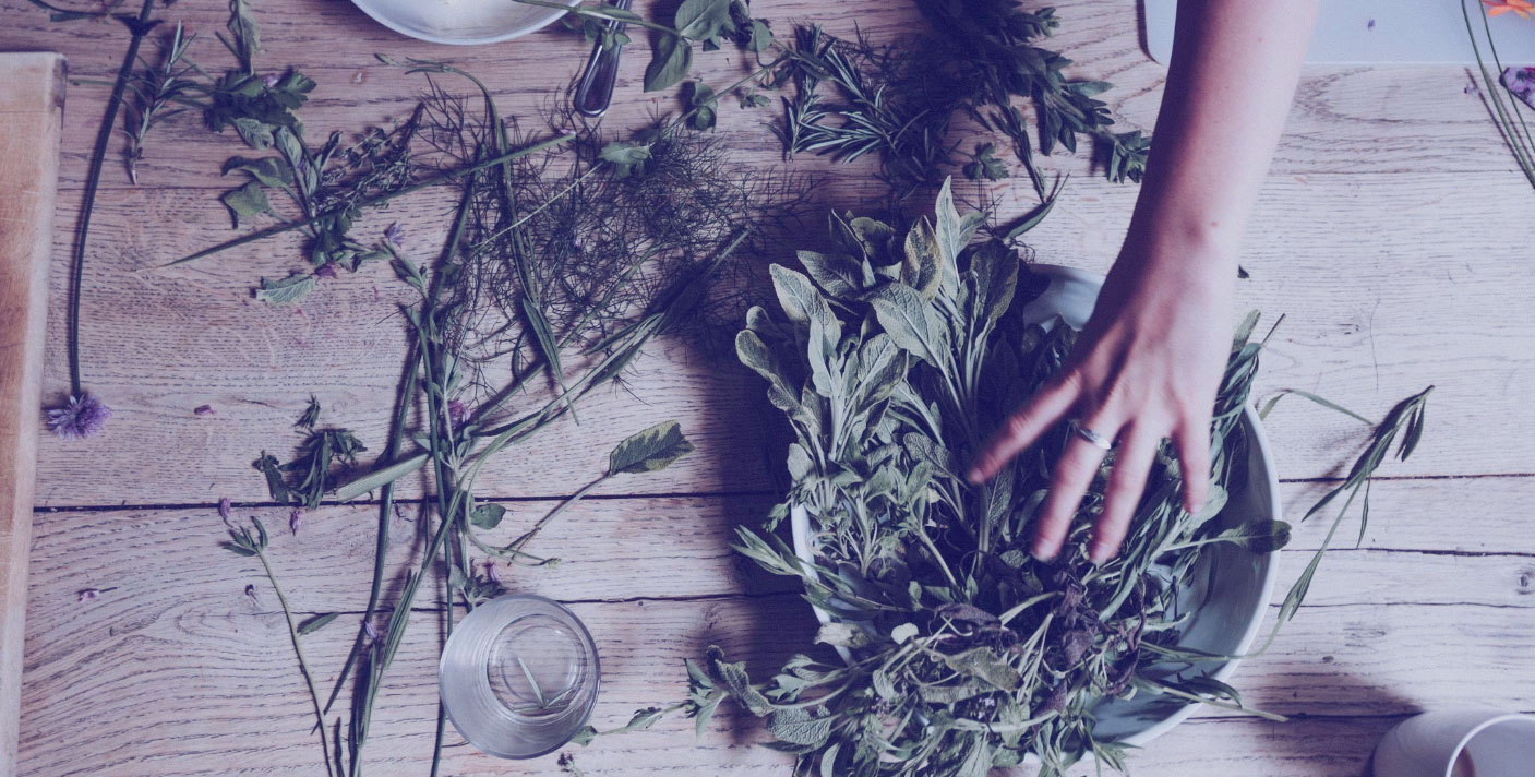 HERBALISM+101.jpg