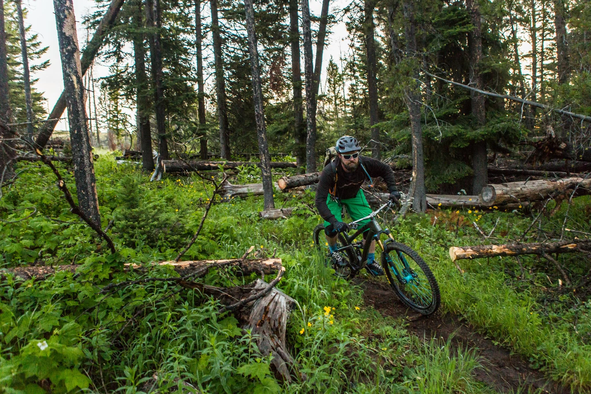 Freehub - Continental Divide (8 of 87).jpg