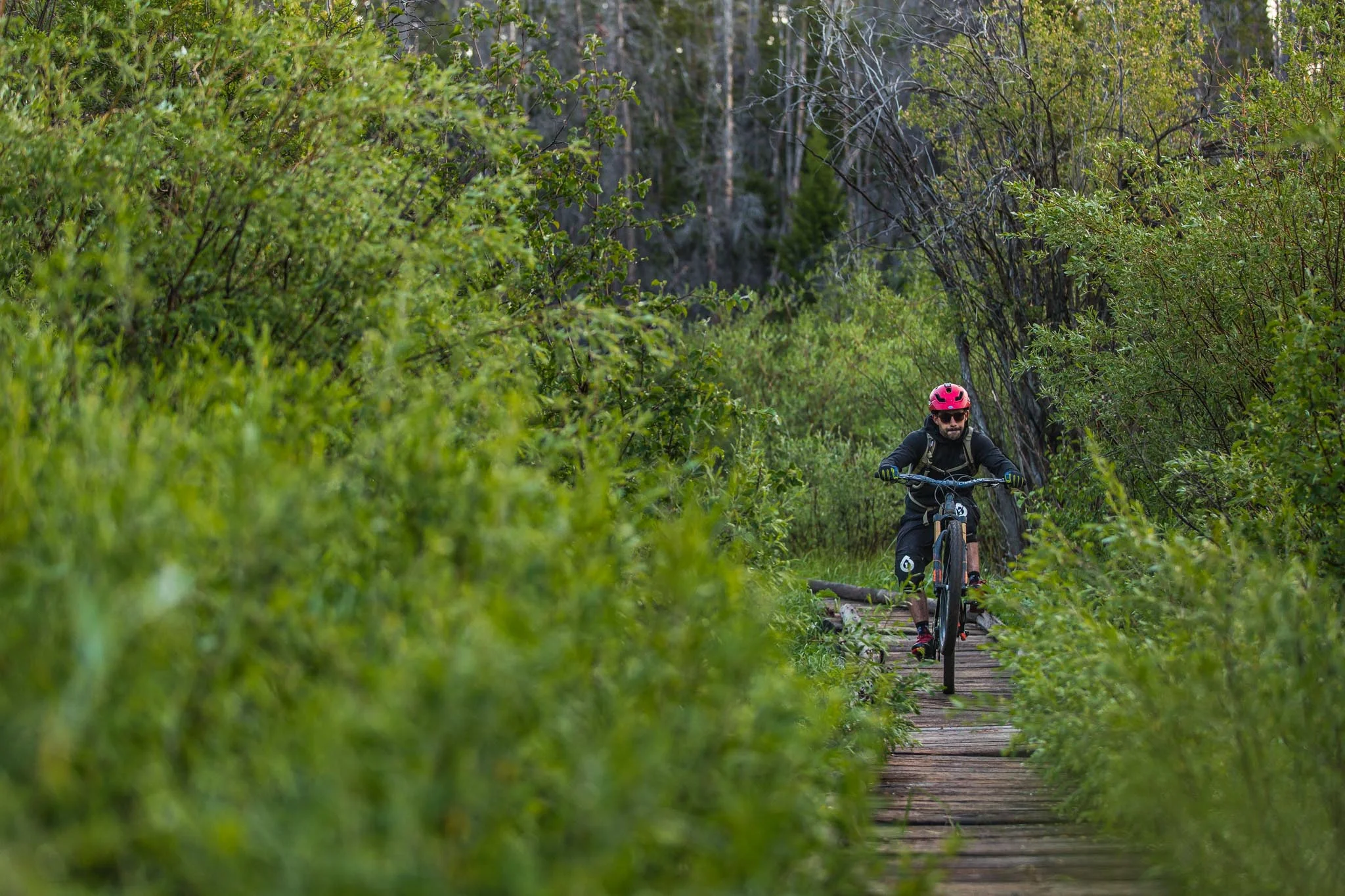 Freehub - Continental Divide (12 of 87).jpg