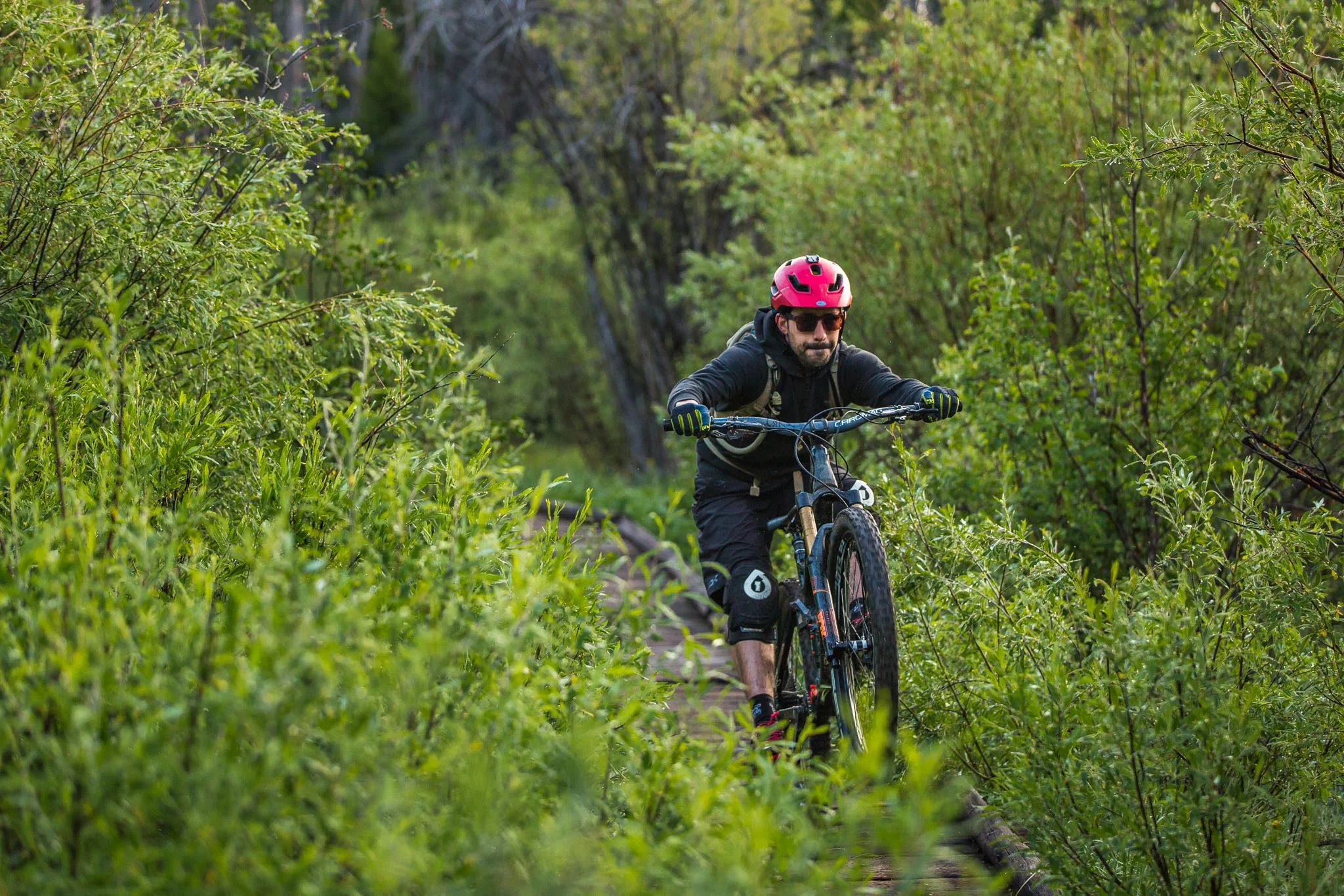 Freehub - Continental Divide (14 of 87).jpg