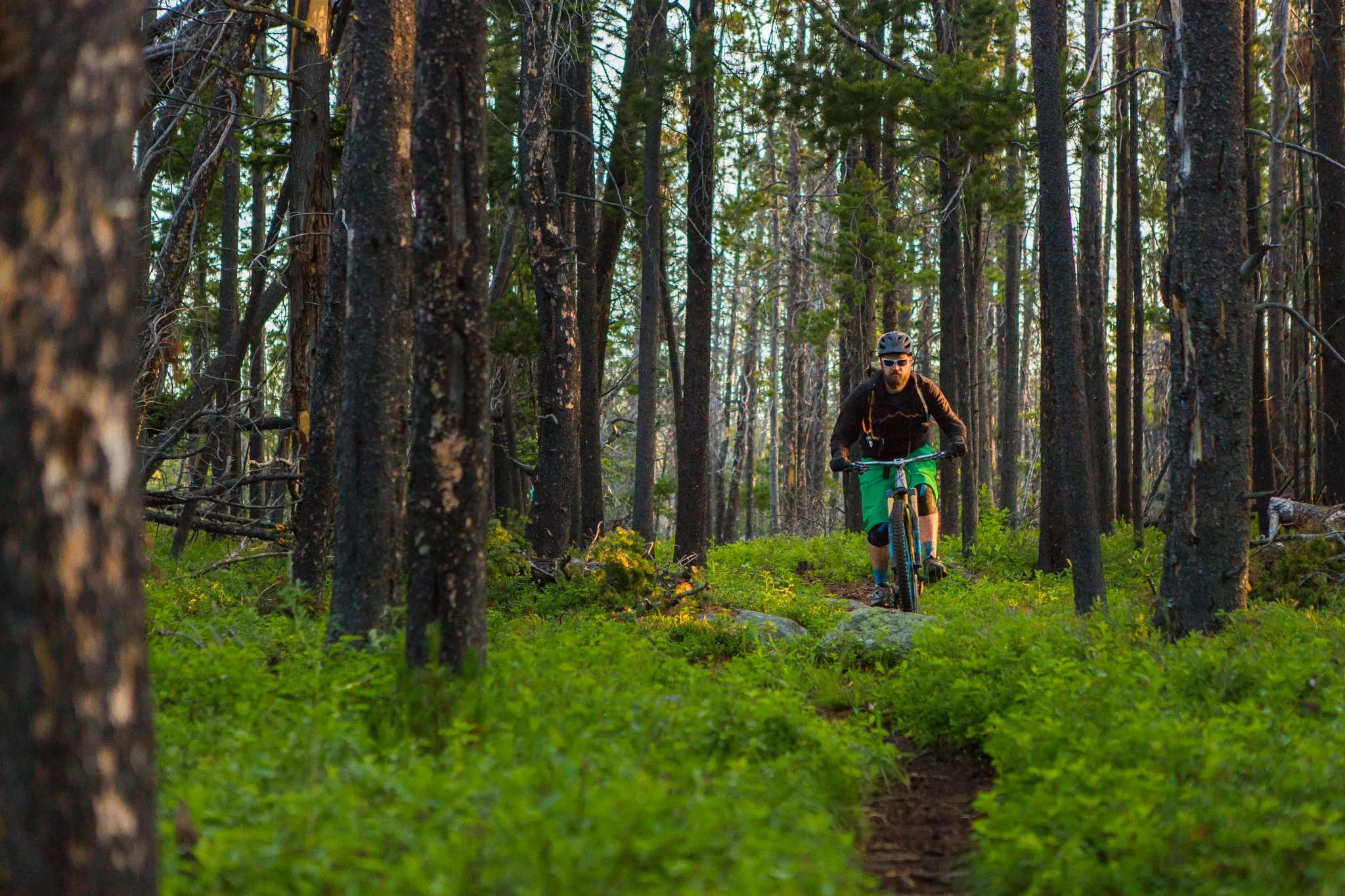 Freehub - Continental Divide (18 of 87).jpg