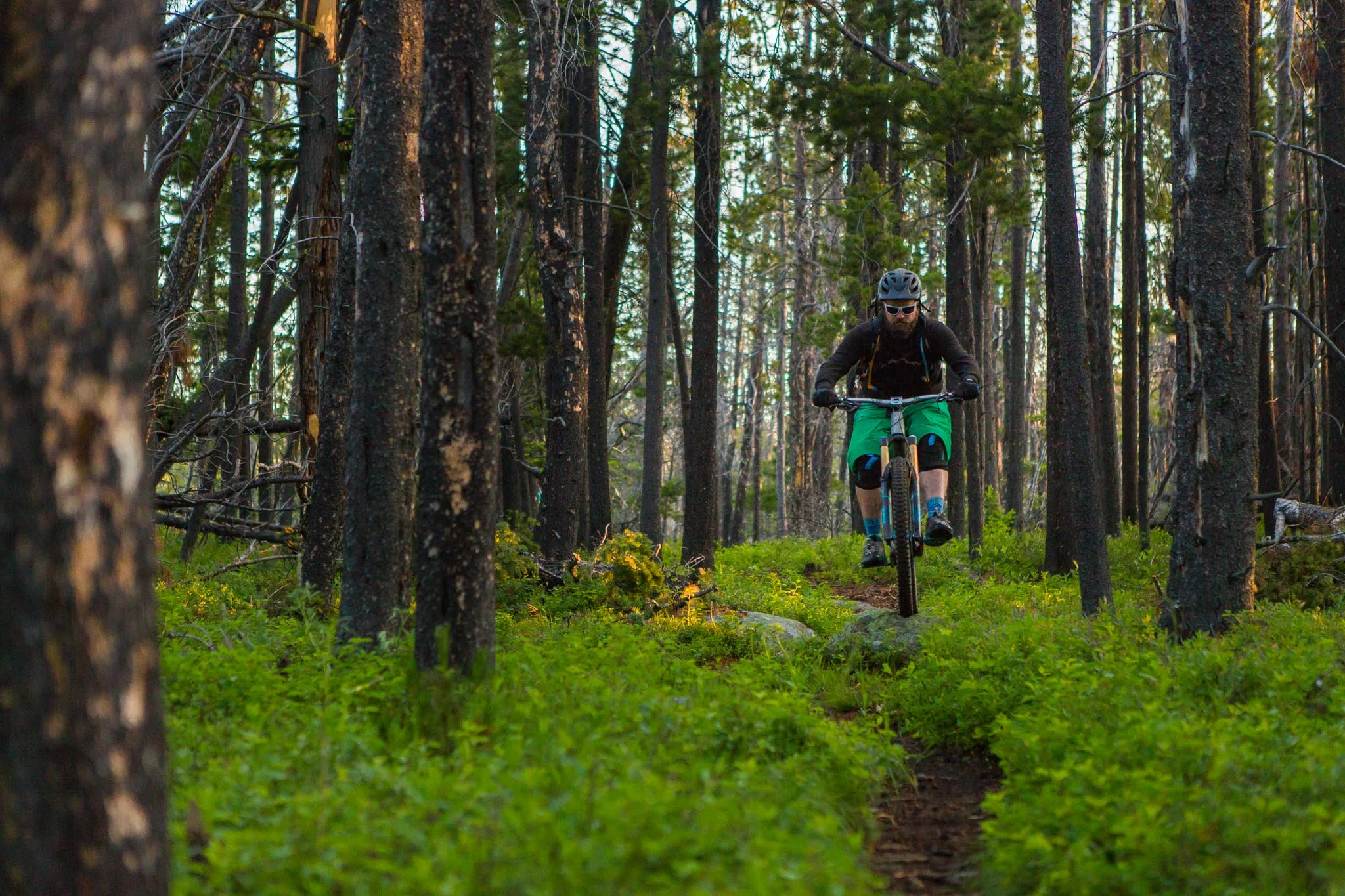 Freehub - Continental Divide (19 of 87).jpg