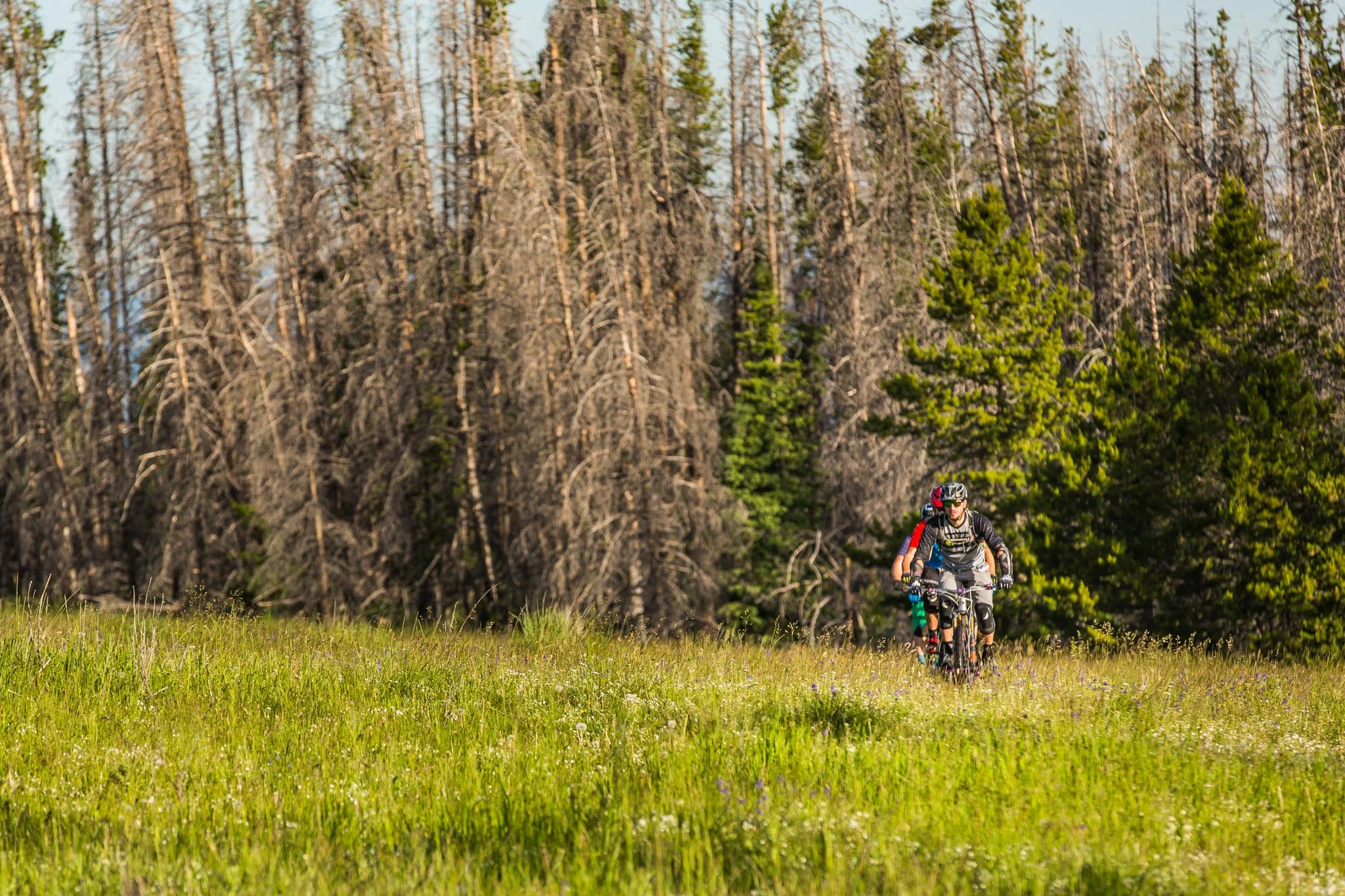 Freehub - Continental Divide (54 of 87).jpg