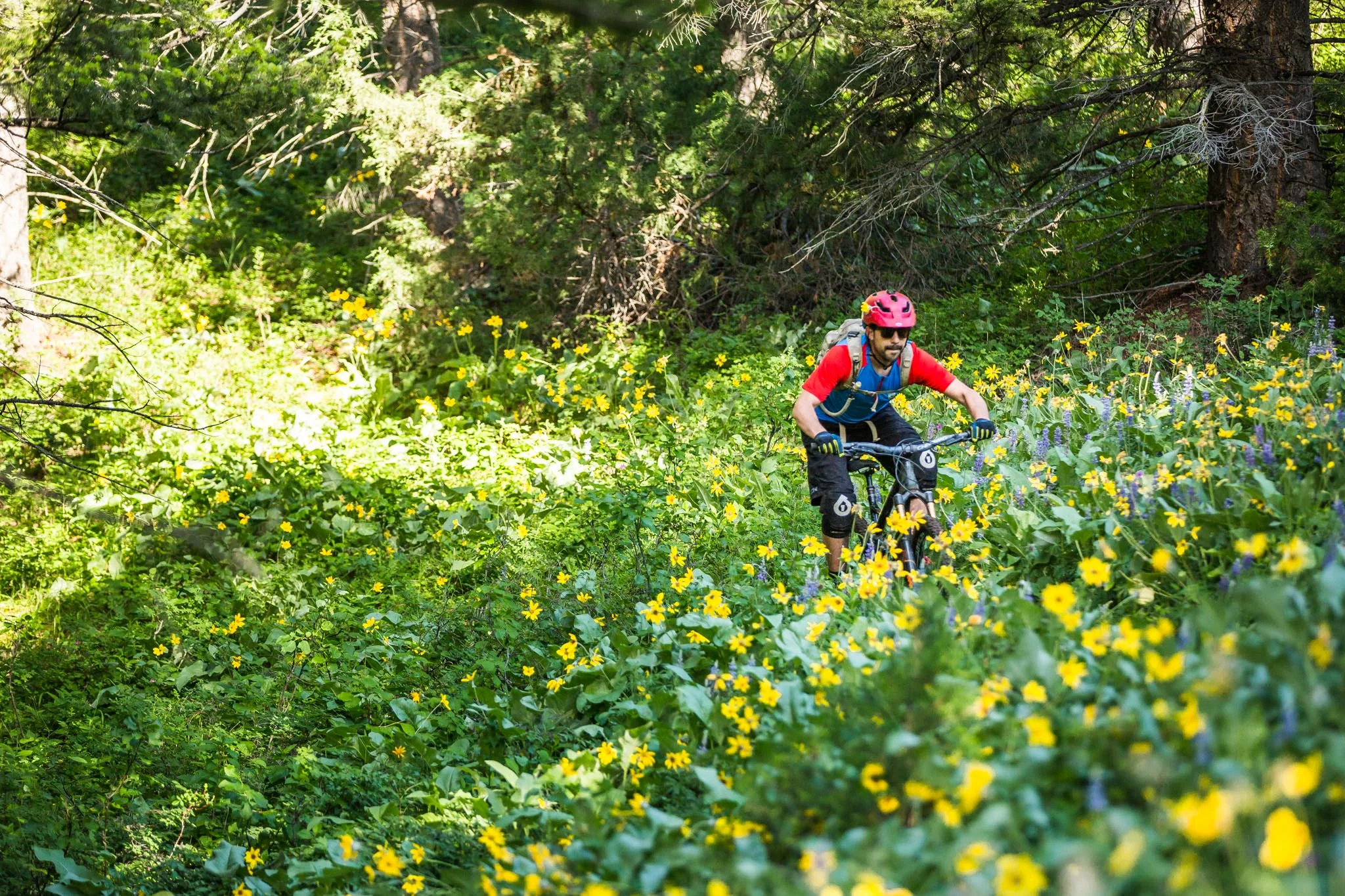 Freehub - Continental Divide (81 of 87).jpg