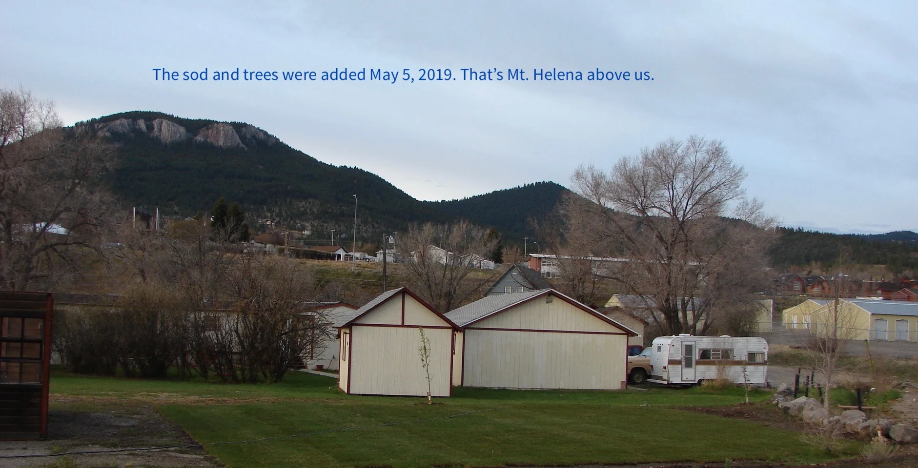 sod and trees text.jpg