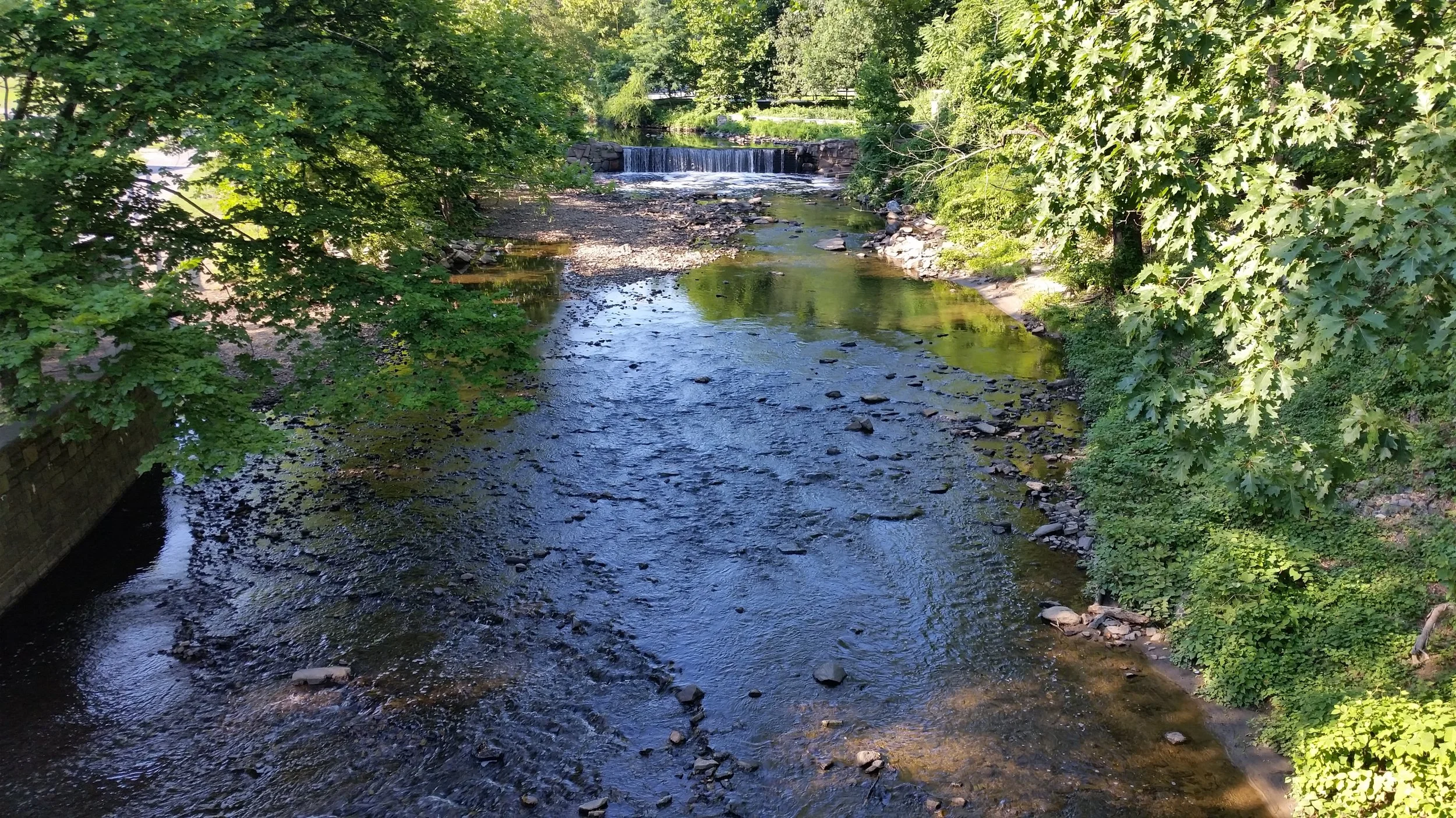 20170716_175431_1503132583691.jpg