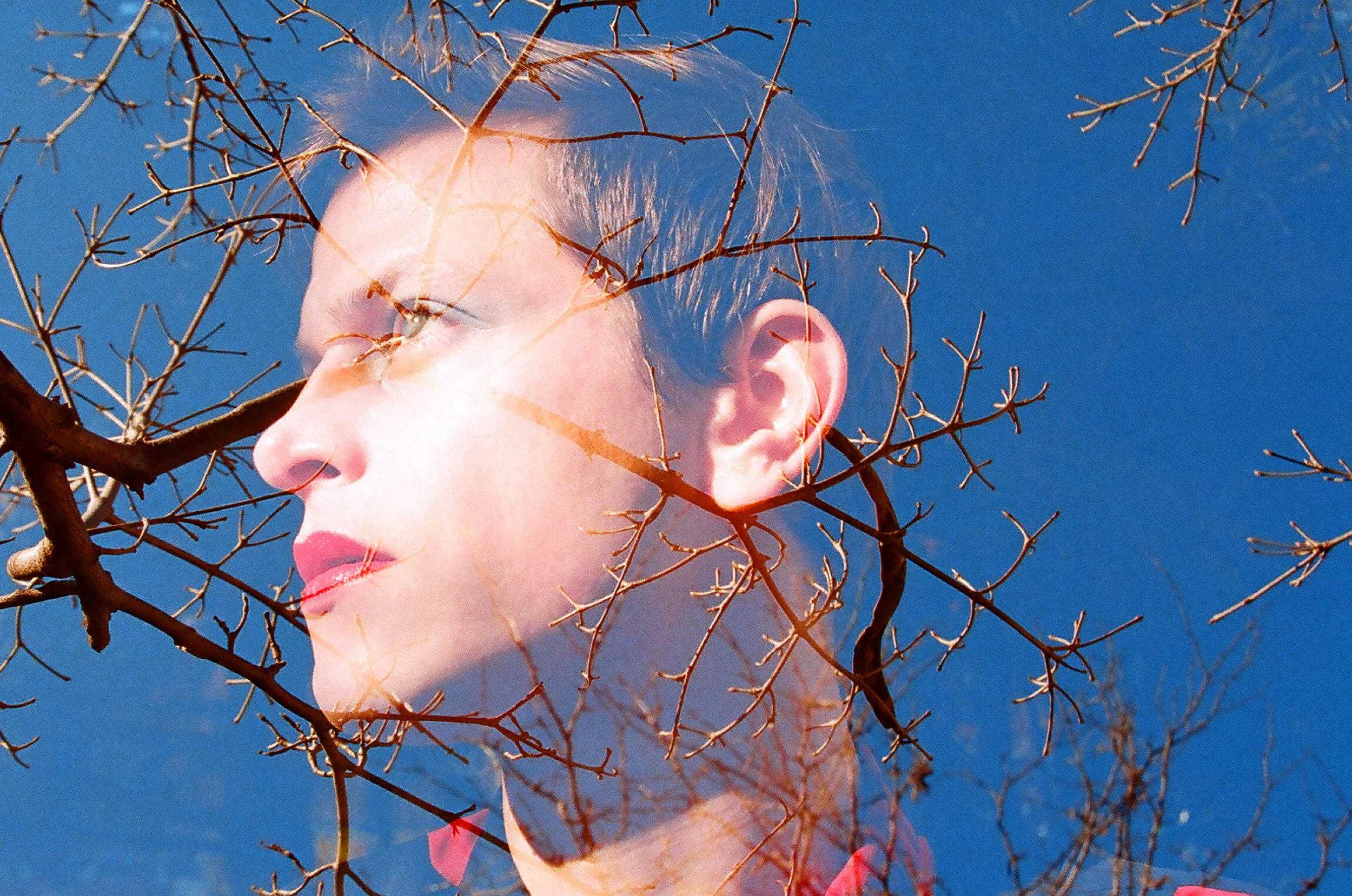 Perfume Genius