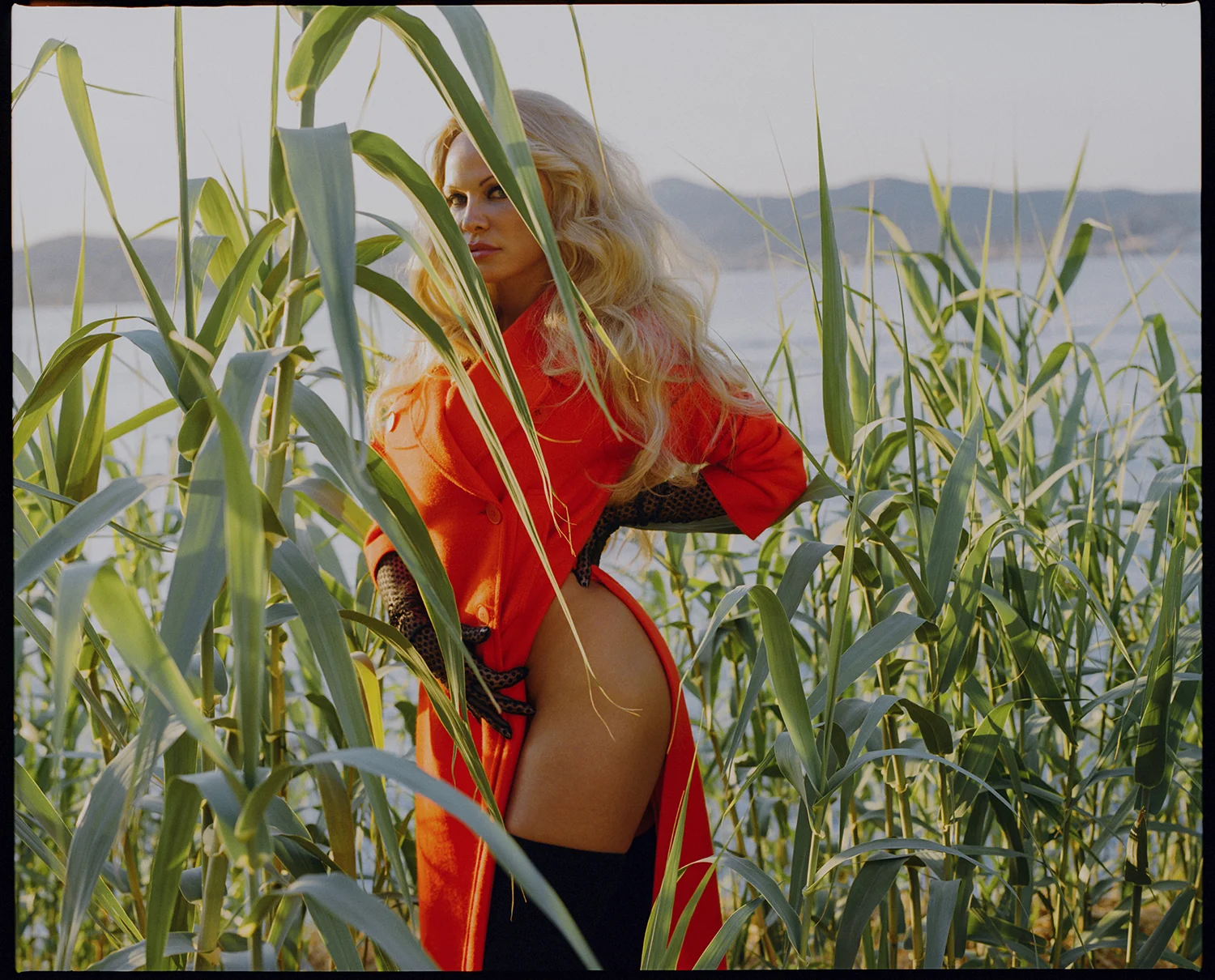 W magazine, Pamela Anderson, 2017
