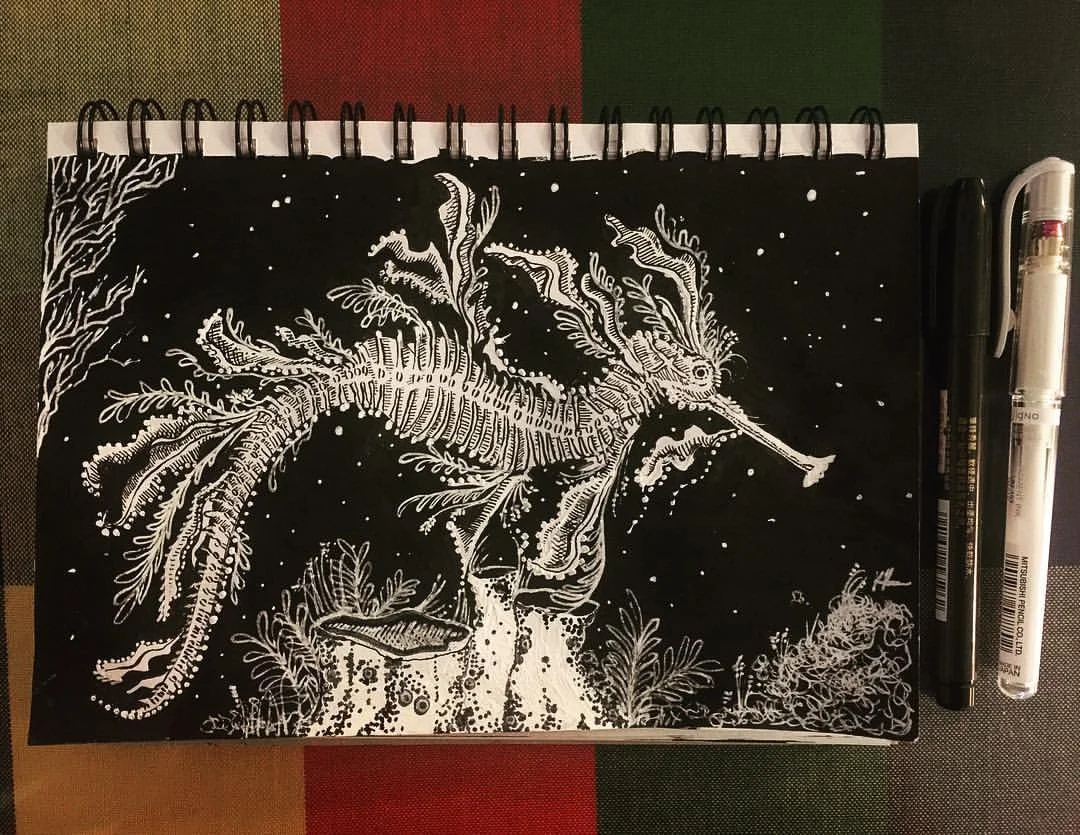 Leafy Sea Dragon