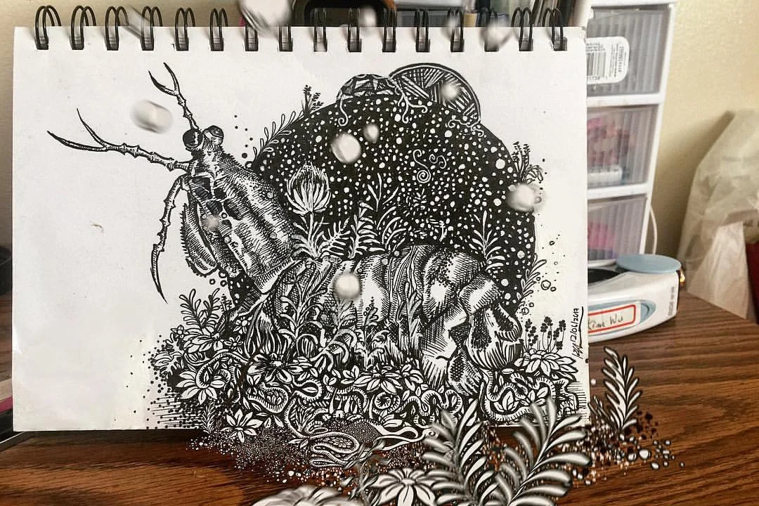 Mantis Shrimp Illusion