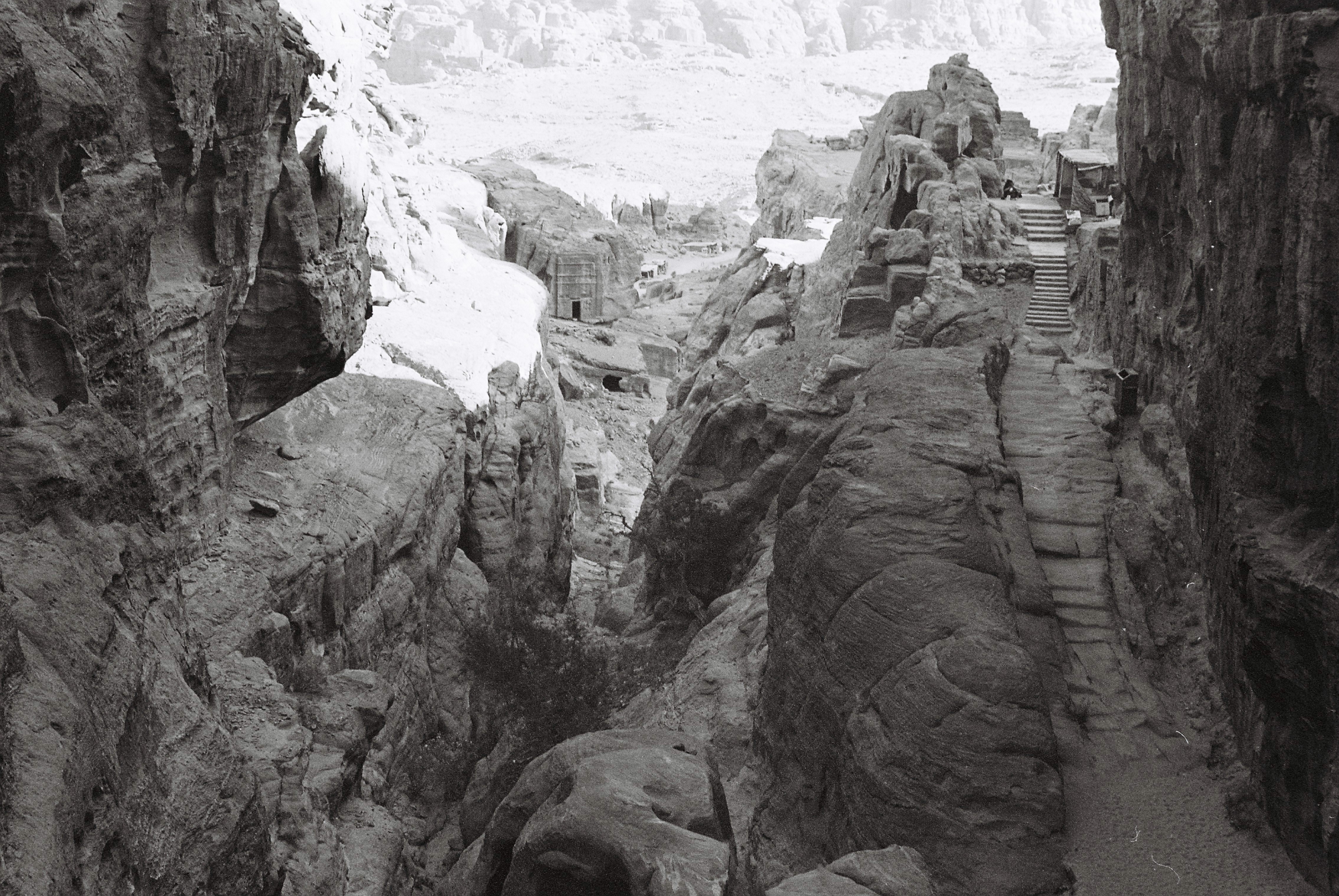 A stone staircase nestled within the ancient city of Petra.