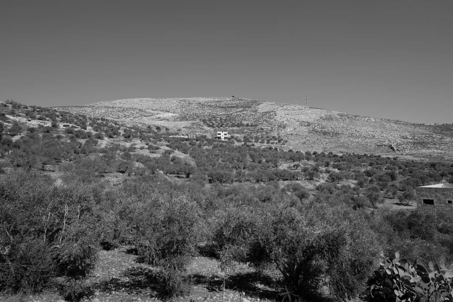  A view of the Israeli settlement Giv'at Sne Ya'akov from Burin.&nbsp; 