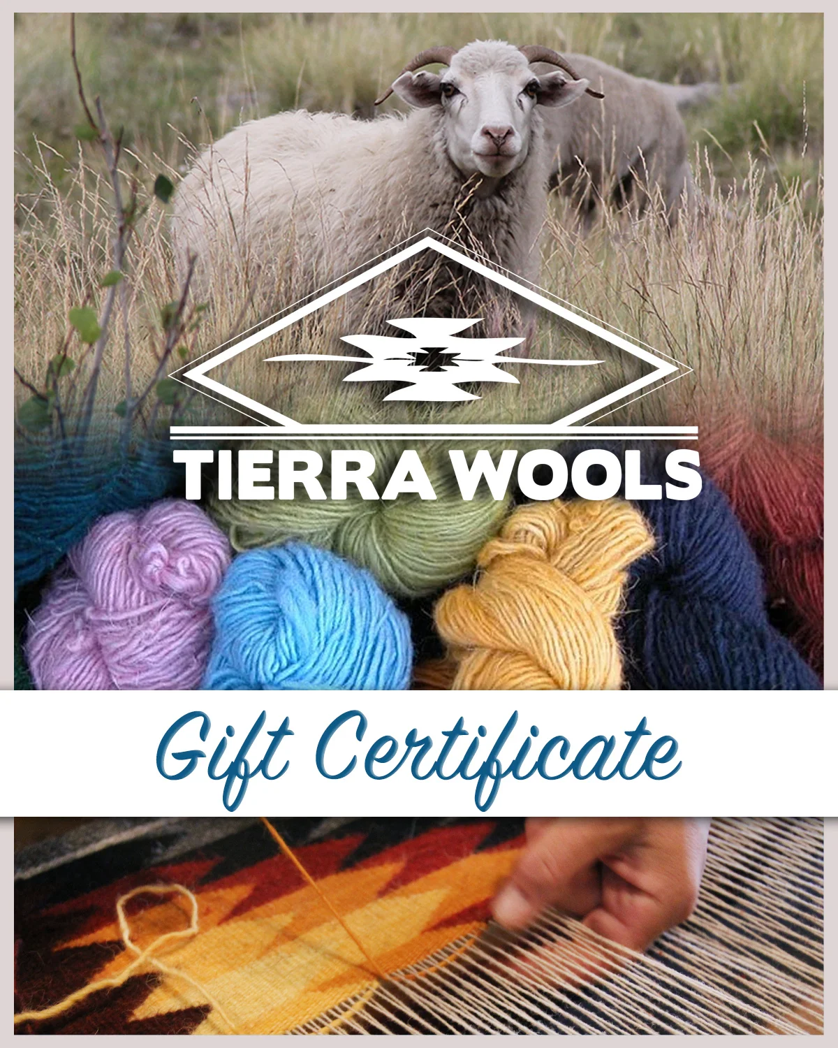 TW Gift Cert_03.jpg