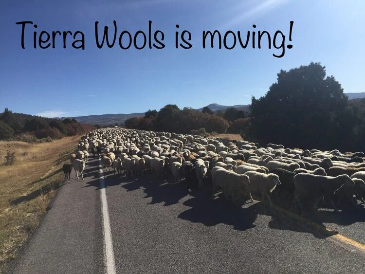 New Year, New Decade, New Tierra Wools! 