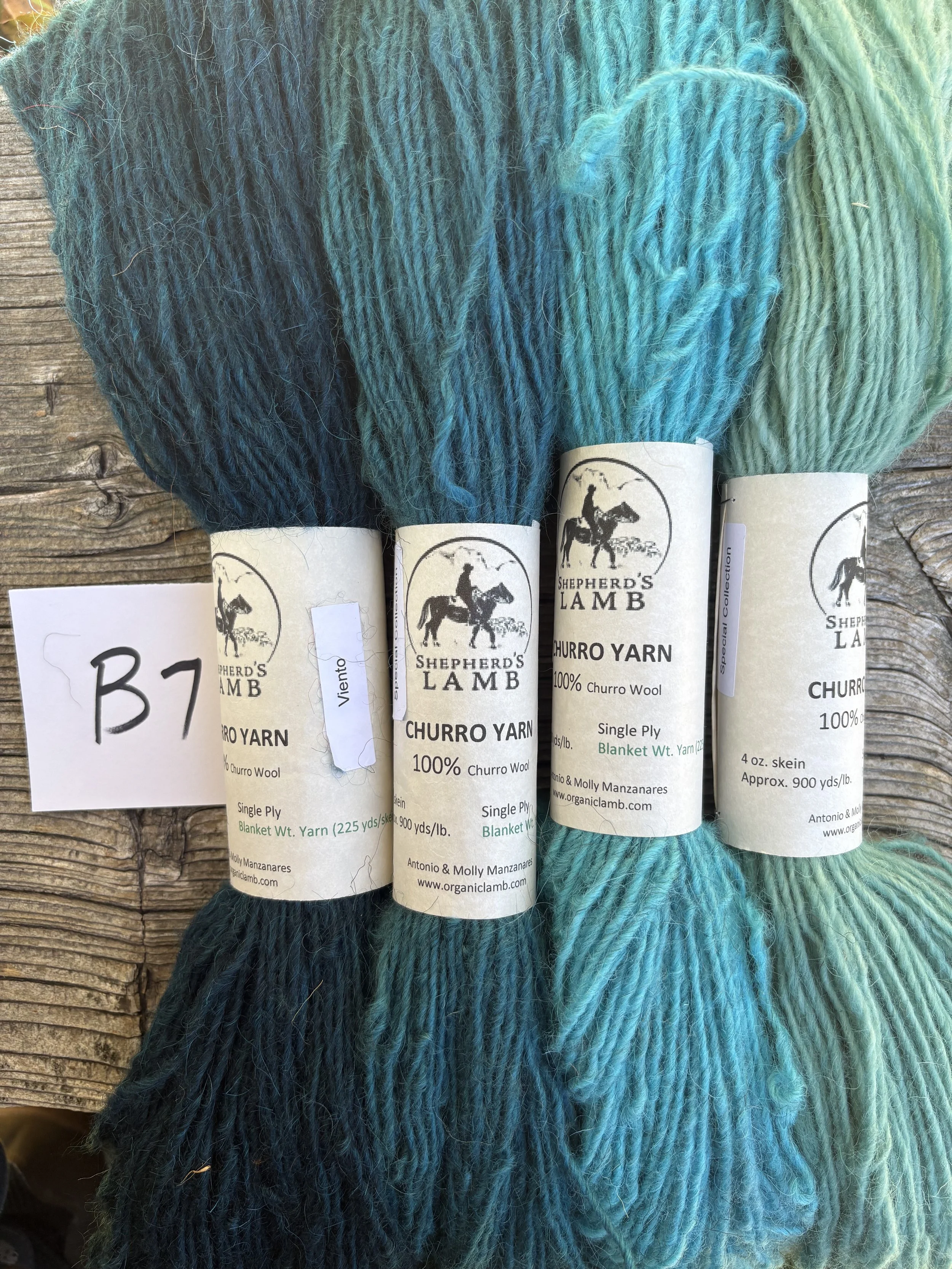 IMG_7246.jpeg