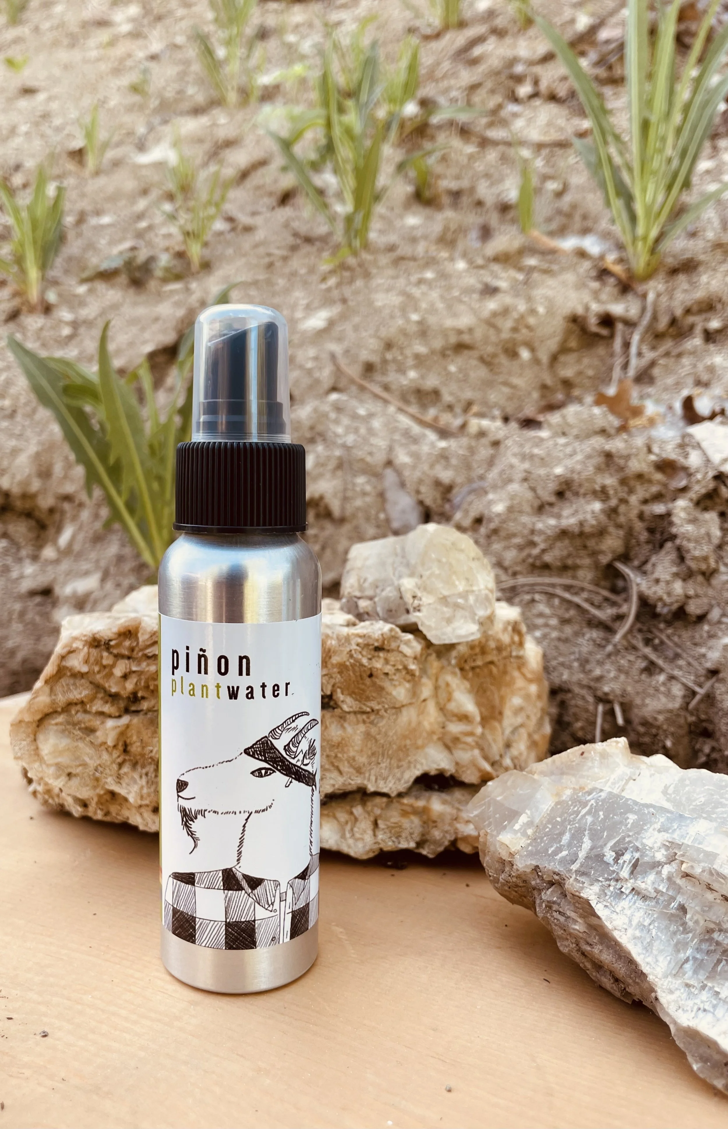 FullSizeRender (3).jpeg