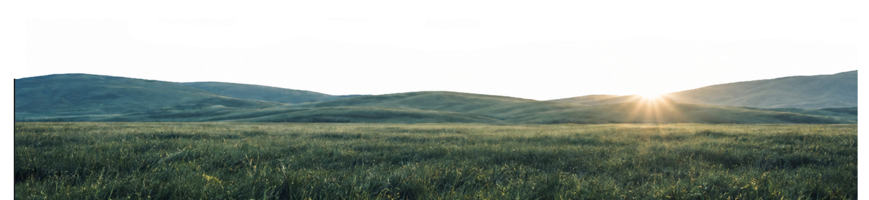 meadow.png