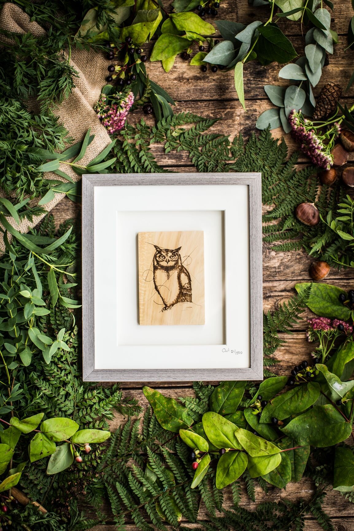 Copy of Framed Owl (limited edition)