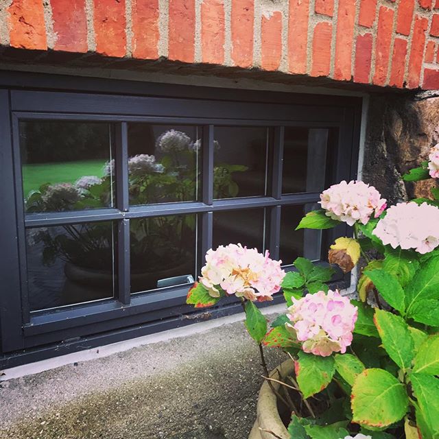 Hverdagsbillede

#seerupvinduespolering #vinduespolering #renevinduer